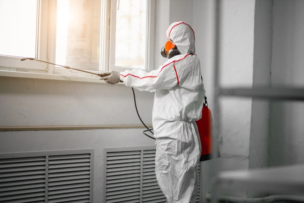 Professional mold remediation services in Mystic, CT